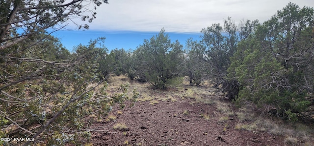 3500 N Stake Cir, Ash Fork AZ, 86320 land for sale