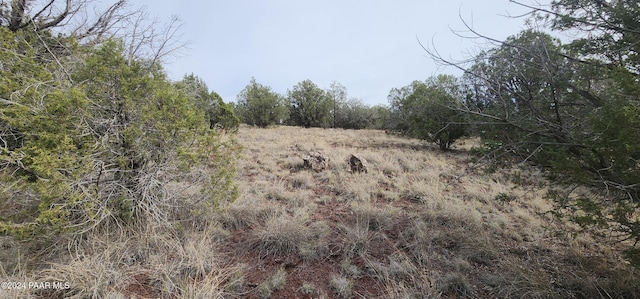 3500 N Stake Cir, Ash Fork, AZ 86320 - photo 19