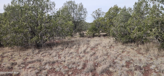 3500 N Stake Cir, Ash Fork, AZ 86320 - photo 8