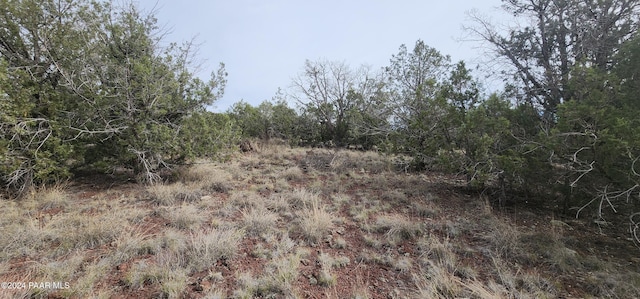 3500 N Stake Cir, Ash Fork, AZ 86320 - photo 18
