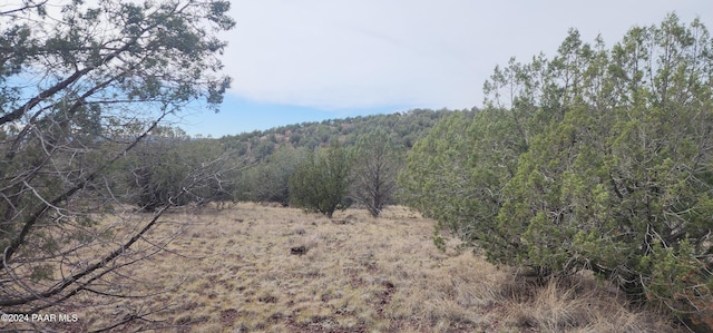 3500 N Stake Cir, Ash Fork, AZ 86320 - photo 5