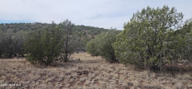 3500 N Stake Cir, Ash Fork, AZ 86320 - photo 7