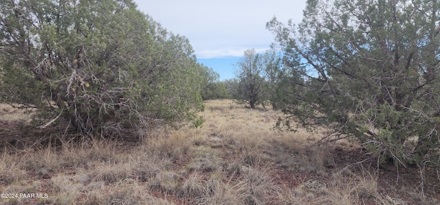 3500 N Stake Cir, Ash Fork, AZ 86320 - photo 9