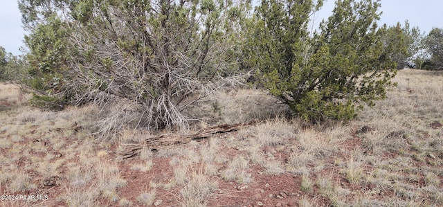 3500 N Stake Cir, Ash Fork, AZ 86320 - photo 15