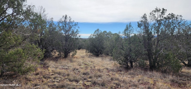 Listing photo 2 for 3500 N Stake Cir, Ash Fork AZ 86320