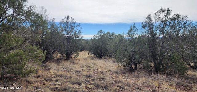3500 N Stake Cir, Ash Fork, AZ 86320 - photo 2