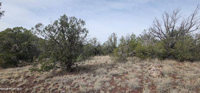 3500 N Stake Cir, Ash Fork, AZ 86320 - photo 24