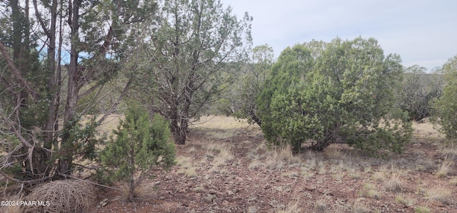3500 N Stake Cir, Ash Fork, AZ 86320 - photo 4