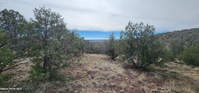 3500 N Stake Cir, Ash Fork, AZ 86320 - photo 20