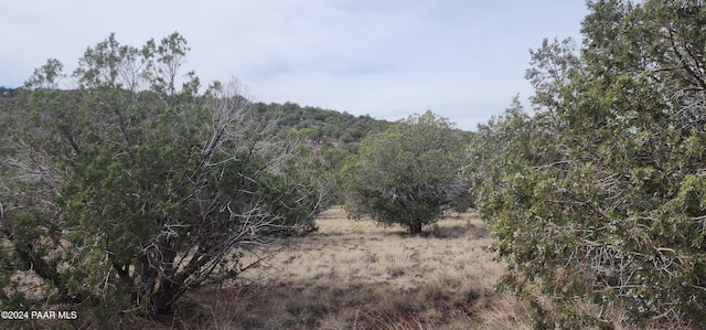 3500 N Stake Cir, Ash Fork, AZ 86320 - photo 16