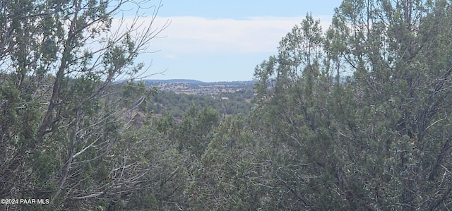 3500 N Stake Cir, Ash Fork, AZ 86320 - photo 17