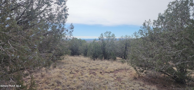 3500 N Stake Cir, Ash Fork, AZ 86320 - photo 10
