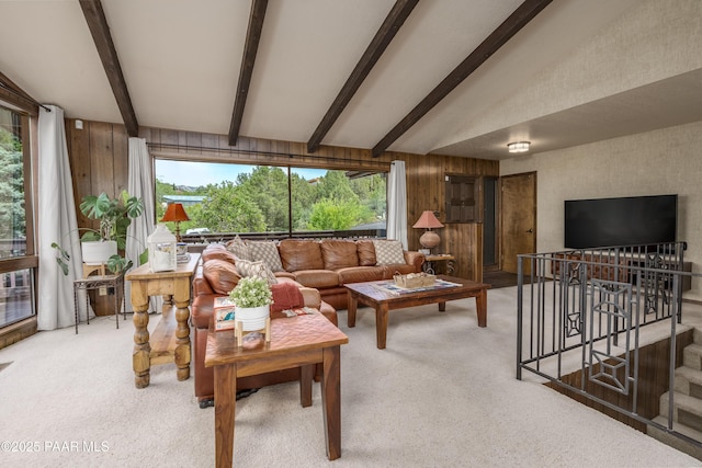 225 Sierra Rd, Sedona, AZ 86336 - living room featuring carpet and wooden walls