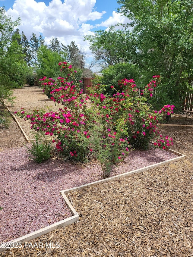 24585 N Catalina St, Paulden, AZ 86334 - view of yard