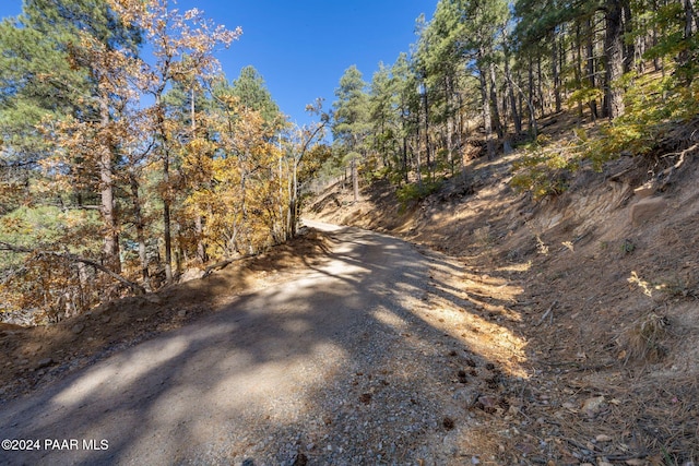 0000 E Poland Rd, Prescott, AZ 86333 - photo 3