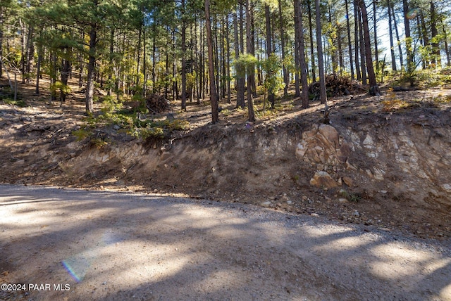 0000 E Poland Rd, Prescott, AZ 86333 - photo 4