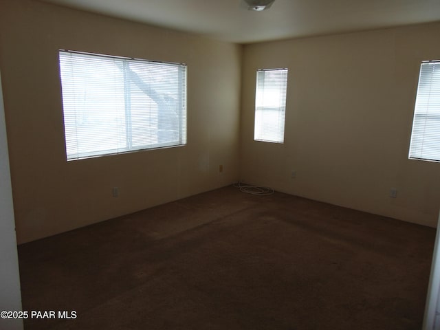 carpeted empty room featuring a healthy amount of sunlight