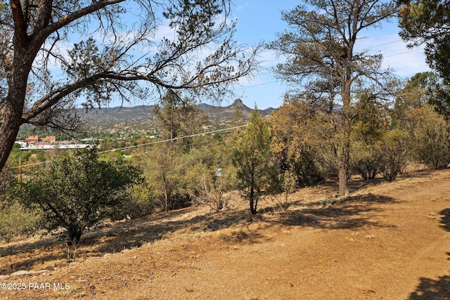 487 W Rosser St, Prescott, AZ 86301 - photo 21