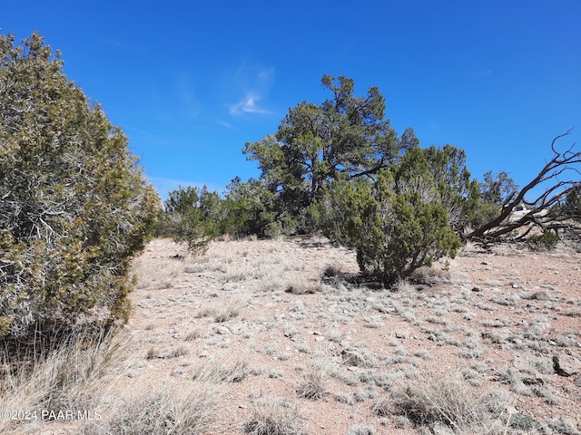 31395 W Bootis Cir, Seligman, AZ 86337 - photo 5