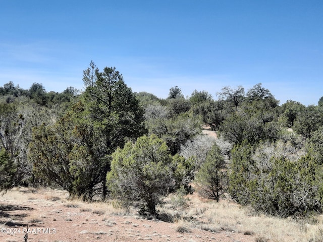 31395 W Bootis Cir, Seligman, AZ 86337 - photo 4