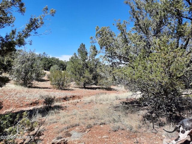 31395 W Bootis Cir, Seligman, AZ 86337 - photo 7