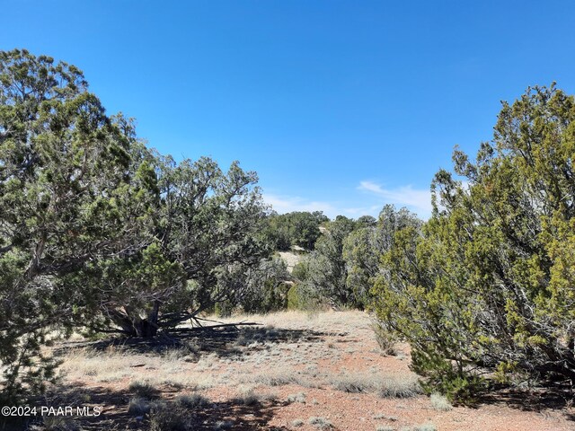 31395 W Bootis Cir, Seligman, AZ 86337 - photo 1