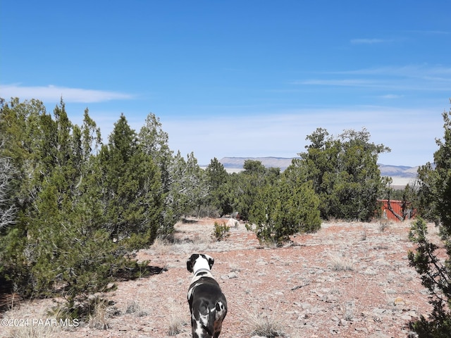31395 W Bootis Cir, Seligman, AZ 86337 - photo 2