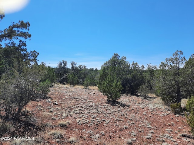 31395 W Bootis Cir, Seligman, AZ 86337 - photo 10