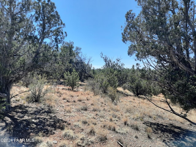 31395 W Bootis Cir, Seligman, AZ 86337 - photo 9