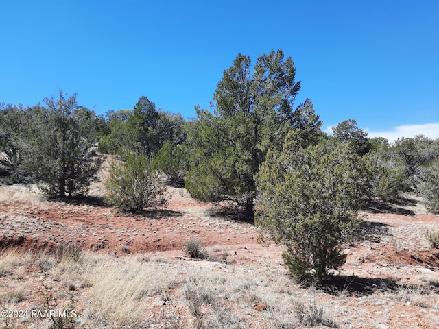 31395 W Bootis Cir, Seligman, AZ 86337 - photo 8