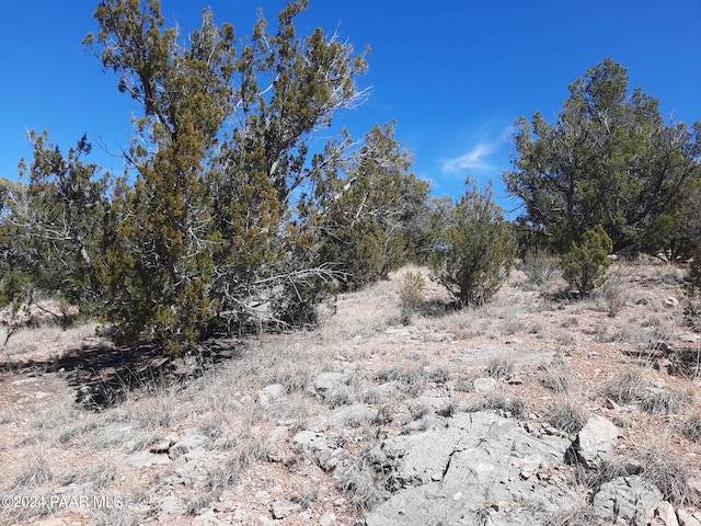 31395 W Bootis Cir, Seligman, AZ 86337 - photo 6