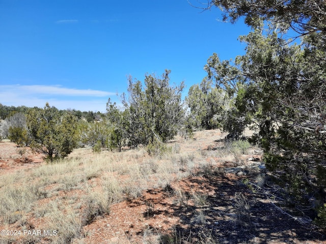 31395 W Bootis Cir, Seligman, AZ 86337 - photo 3