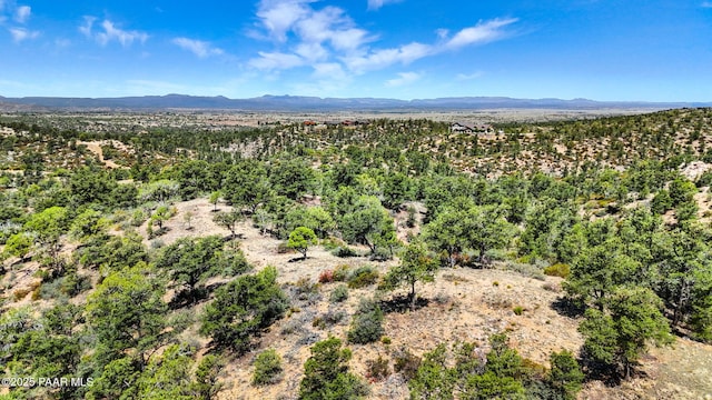 12880 Spiral Dancer Trl, Prescott, AZ 86305