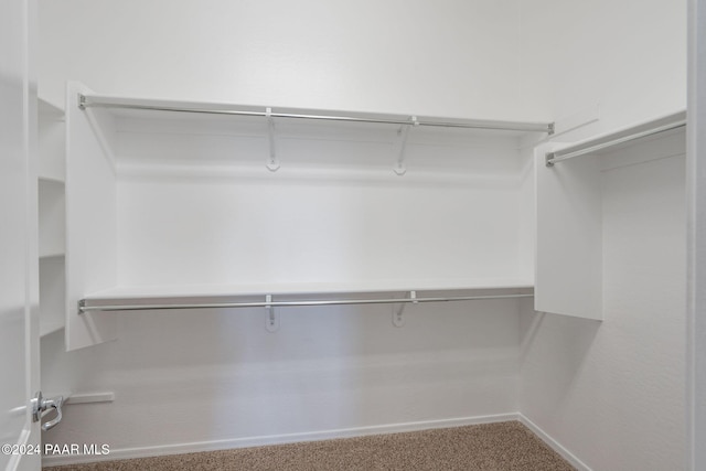 walk in closet with carpet flooring