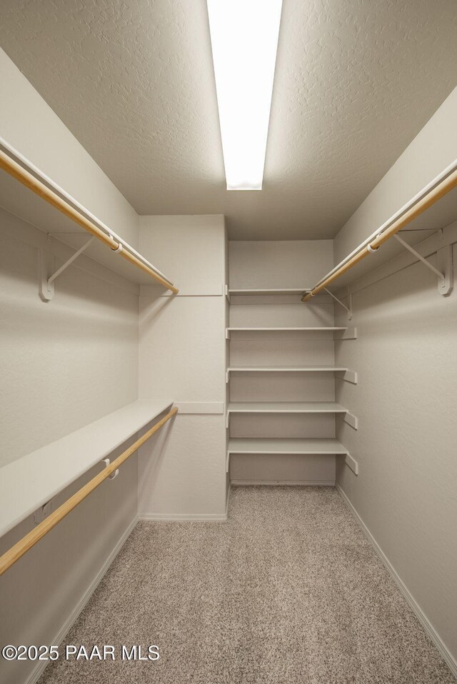 walk in closet featuring carpet floors