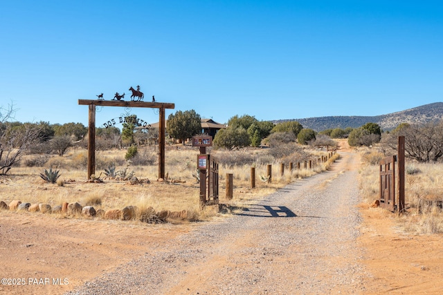 view of road featuring a gated entry, driveway, and a rural view