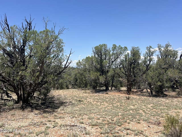 249 W Kings Ranch Rd, Ash Fork, AZ 86320