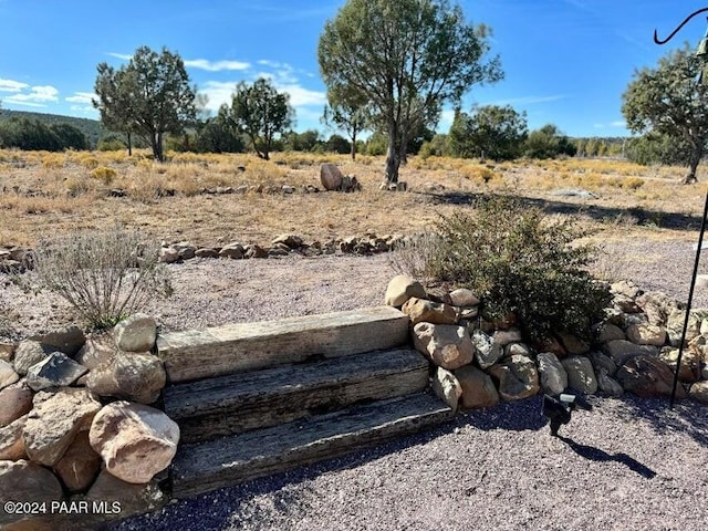 view of yard featuring a rural view