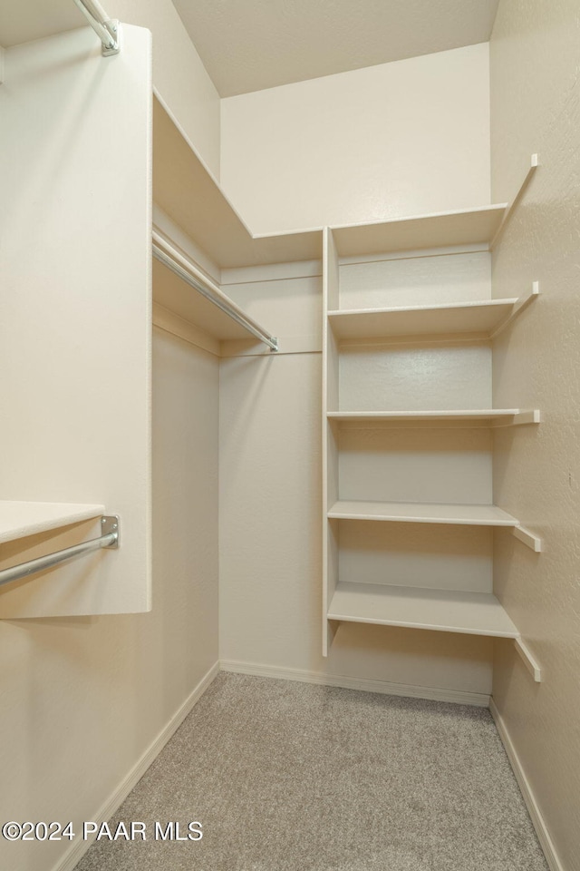 walk in closet featuring carpet floors