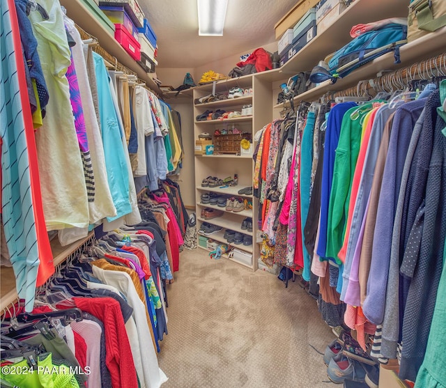 spacious closet featuring carpet