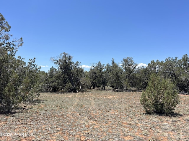 61 NW4 Elk Rd, Ash Fork, AZ 86320