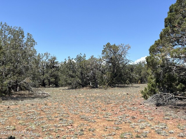61 NW4 Elk Rd, Ash Fork, AZ 86320