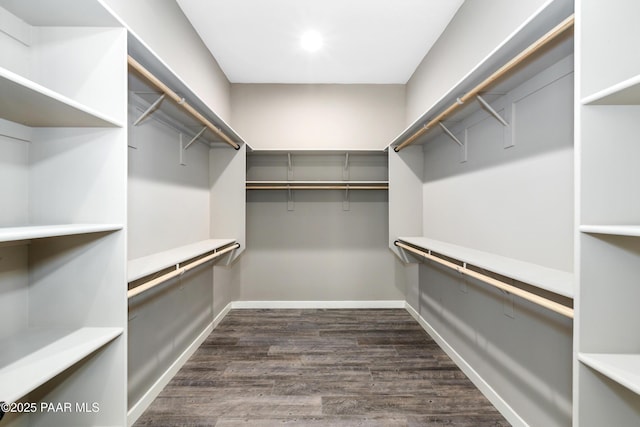 spacious closet with dark hardwood / wood-style flooring