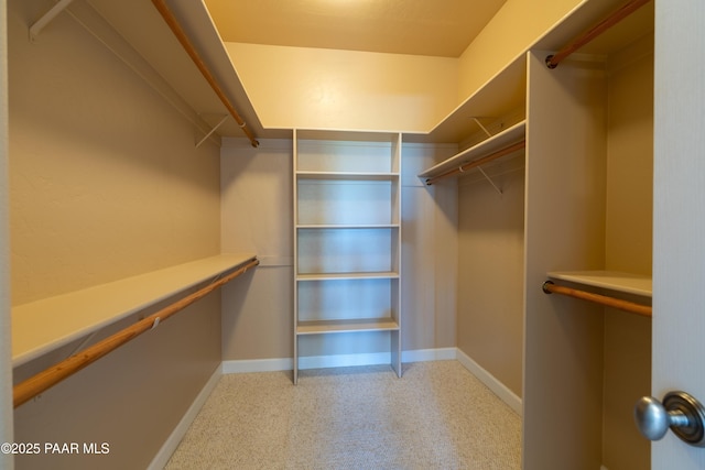 view of walk in closet