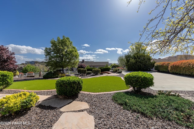 surrounding community featuring a yard