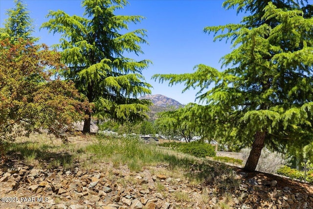 532 Goshawk Trl, Prescott, AZ 86301 - view of local wilderness featuring a mountain backdrop