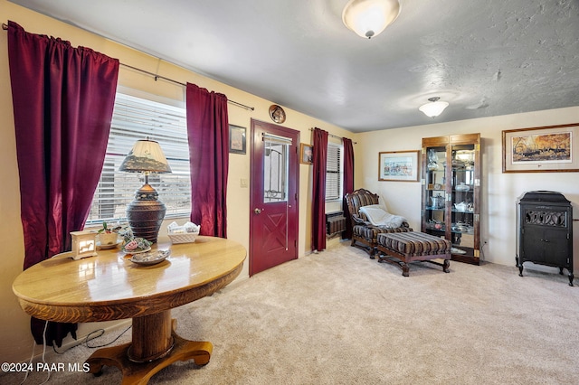 sitting room featuring carpet and a textured ceiling