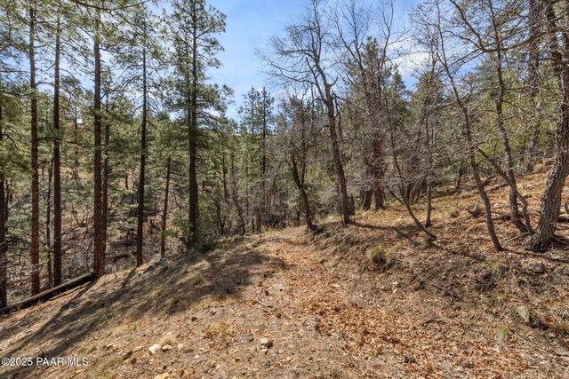 1516 N Holly Dr, Prescott, AZ 86305 - photo 11