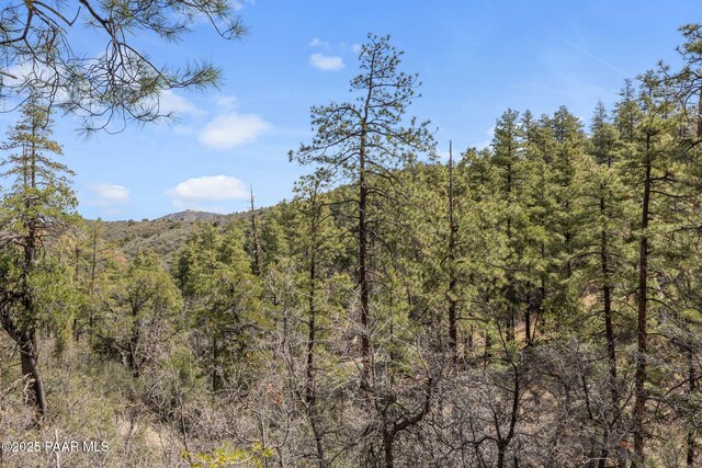 1516 N Holly Dr, Prescott, AZ 86305 - photo 10