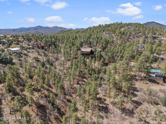 1516 N Holly Dr, Prescott, AZ 86305 - photo 15